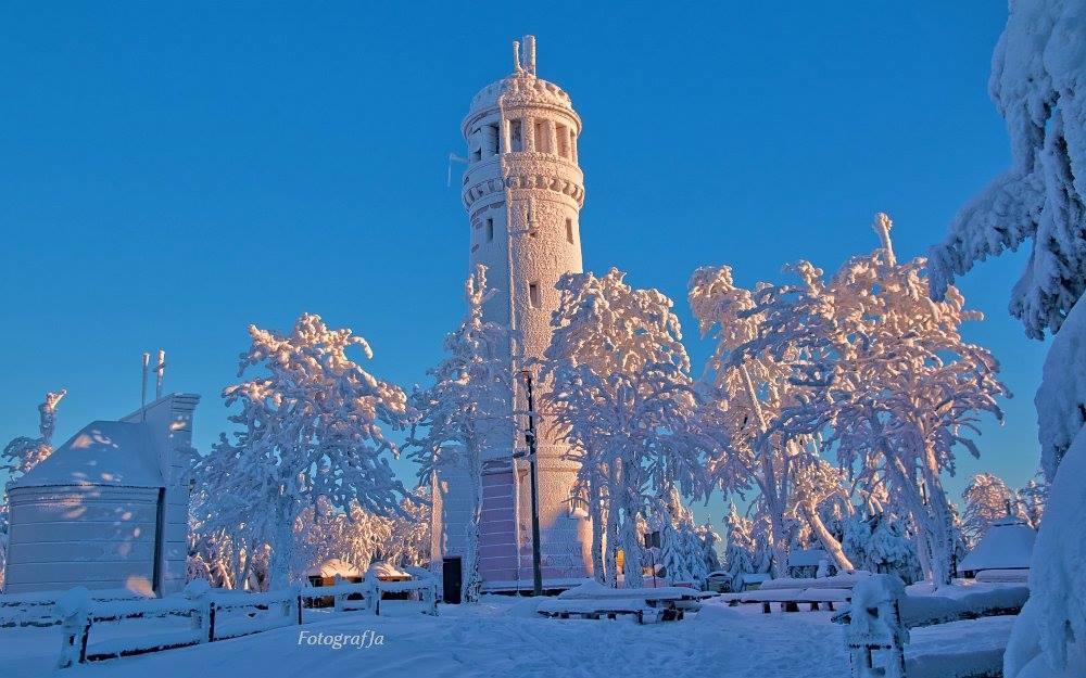 Wanda Daire Szczawno-Zdroj Dış mekan fotoğraf